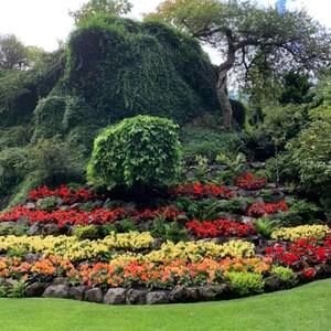 Meet your Posher, Imelda